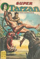 Grand Scan Tarzan Super n° 19